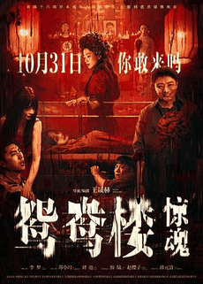 木瓜电影网_《鸳鸯楼·惊魂》电影海报在线看